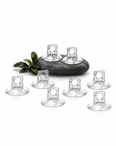 8x Ventouses Haute Qualité pour Tuyau 6/4mm et Équipement en Verre
