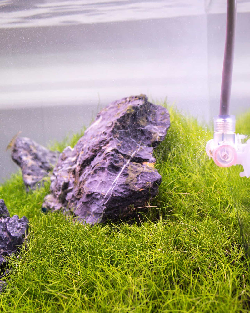 Instagram post by @jordanstirrat