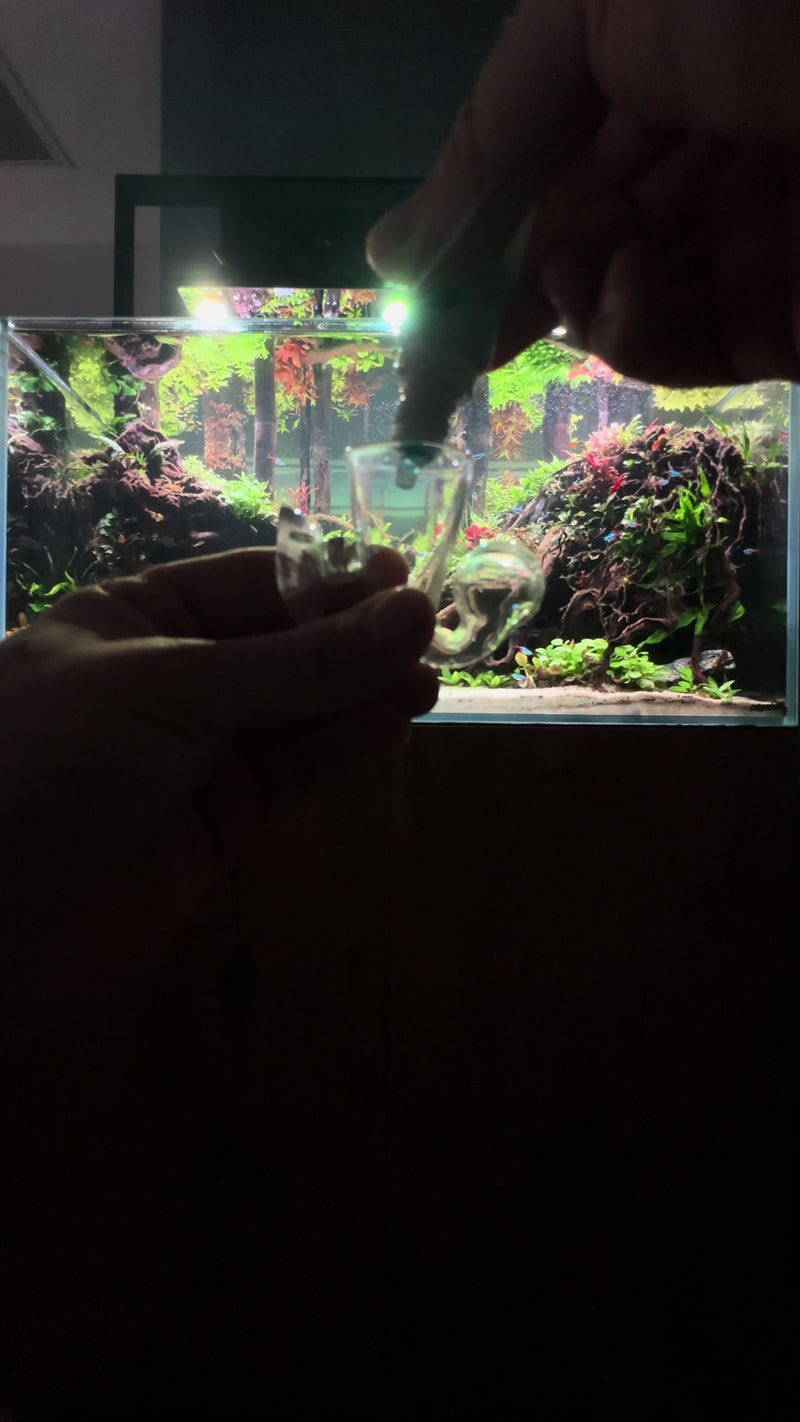 TikTok video by @aquascaping.passion