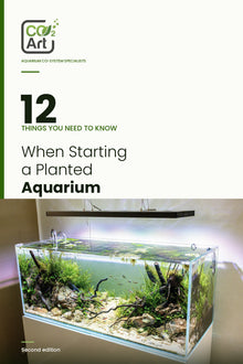 12 choses à savoir pour démarrer un aquarium planté — e-book
